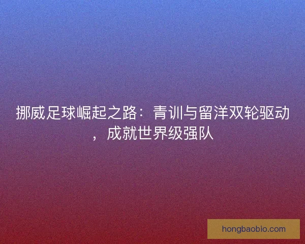 挪威足球崛起之路：青训与留洋双轮驱动，成就世界级强队