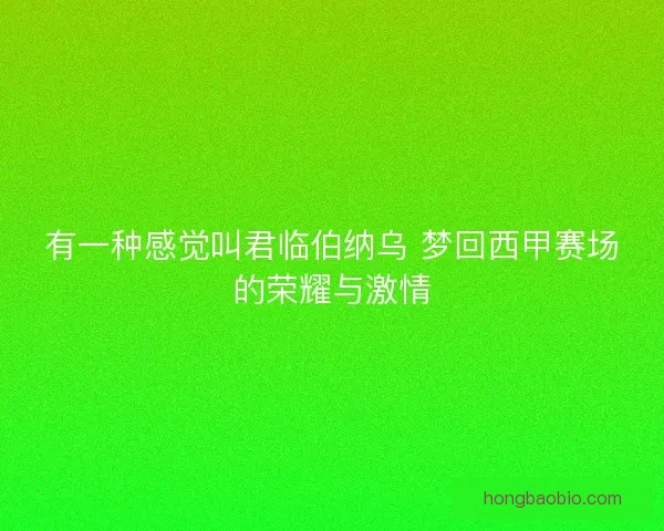 有一种感觉叫君临伯纳乌 梦回西甲赛场的荣耀与激情
