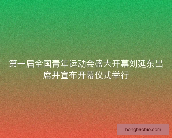 第一届全国青年运动会盛大开幕刘延东出席并宣布开幕仪式举行