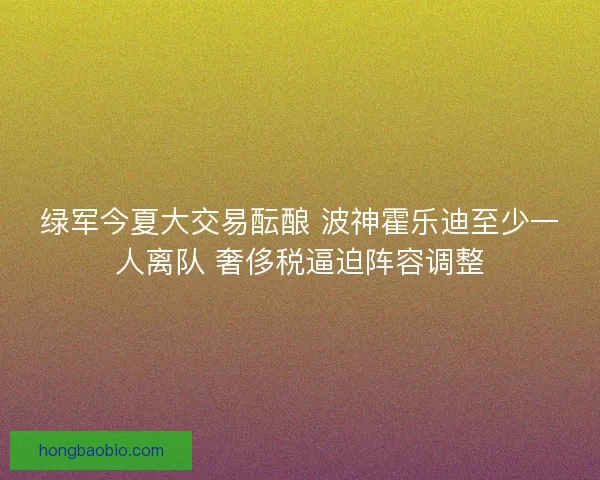 绿军今夏大交易酝酿 波神霍乐迪至少一人离队 奢侈税逼迫阵容调整
