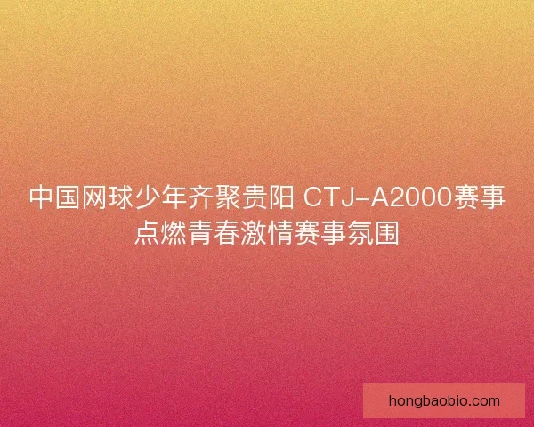 中国网球少年齐聚贵阳 CTJ-A2000赛事点燃青春激情赛事氛围