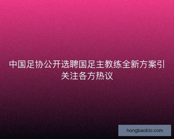 中国足协公开选聘国足主教练全新方案引关注各方热议