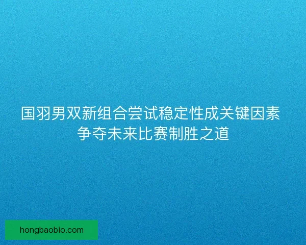 国羽男双新组合尝试稳定性成关键因素 争夺未来比赛制胜之道 国羽男双新组合尝试稳定性成关键因素 争夺未来比赛制胜之道